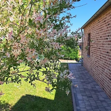 Rural 